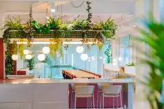 Transformatie HNK rotterdam 3