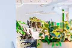 Transformatie HNK rotterdam 6
